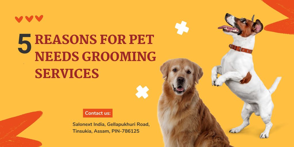 5 Reasons for Pet Needs Grooming Services