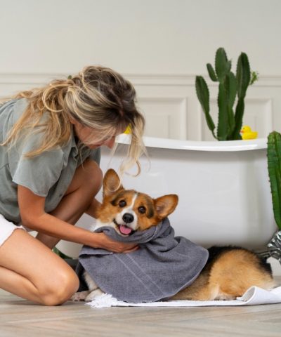 best-winter-care-tips-for-dogs-e-1